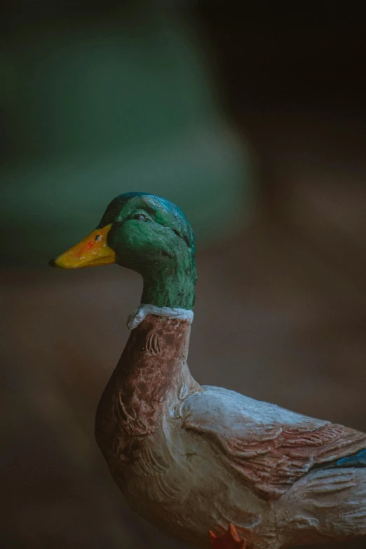 a green duck standing in front of the camera