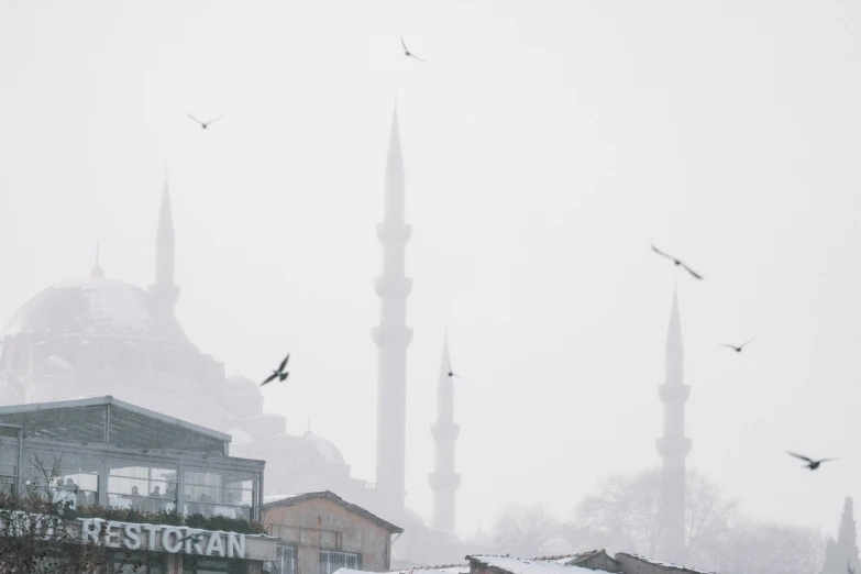 snow storm in a european city with bird flying low