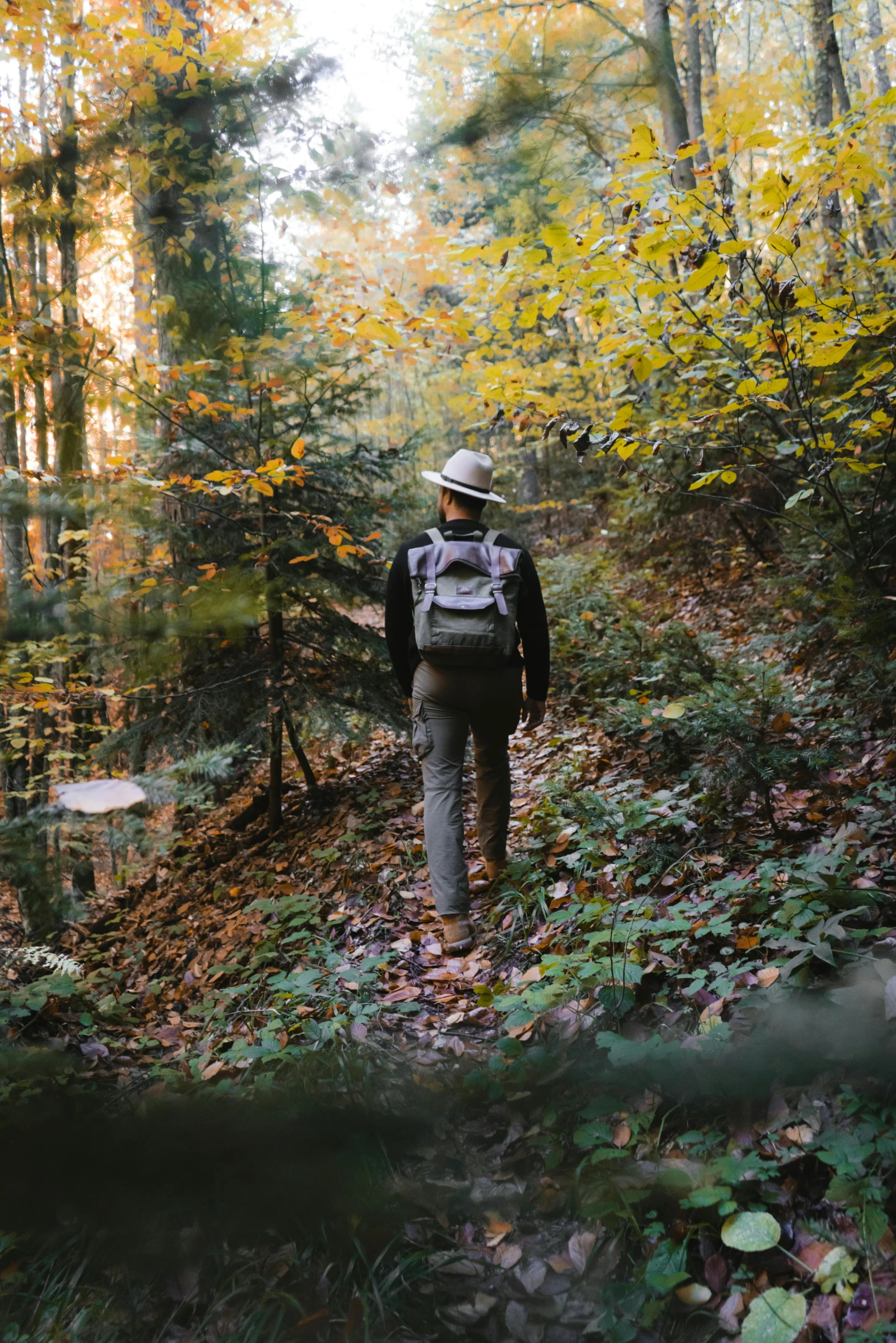 man in hat walking alone in woods with colorful fall foliage