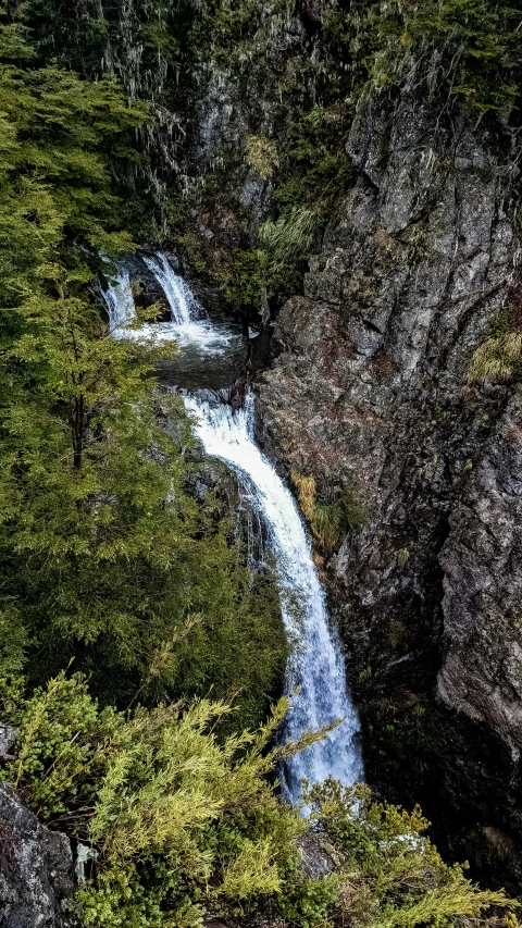 the lower part of the falls, with lush greenery and water