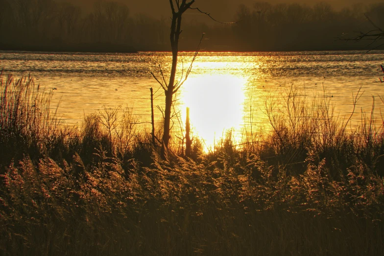 a picture taken from the shore of the lake