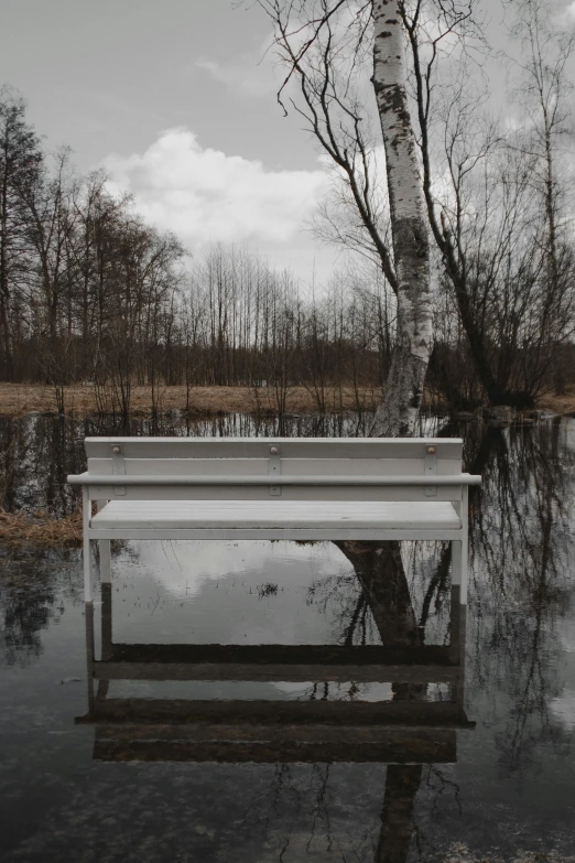 a bench in a park next to a large pond