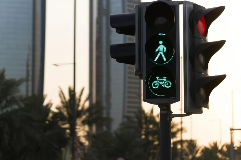 the stoplight shows the bike symbol is green