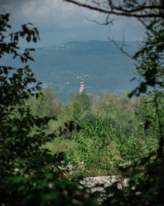 a lighthouse stands above trees and brush on a cloudy day