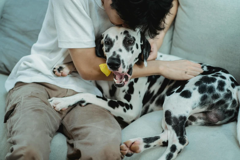 woman with her dalmatian dog on a couch