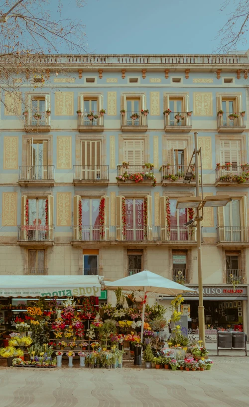 an image of a flower stand with flowers in front