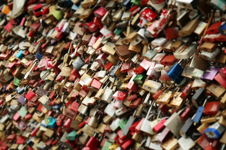 a close up s of the locked padlocks on the fence