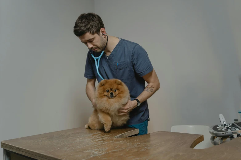 a man holds his pomeranian on the counter top