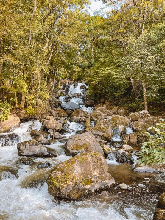 a very pretty river flowing through a forest