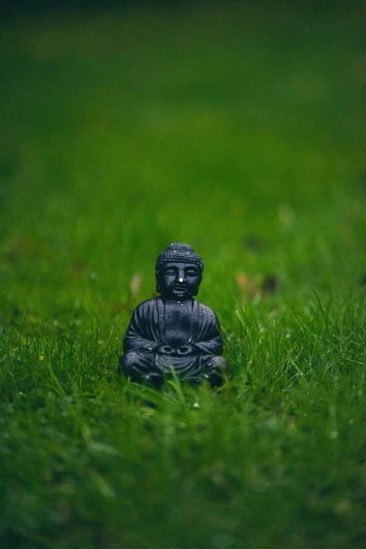 a buddha statue in a green grassy field