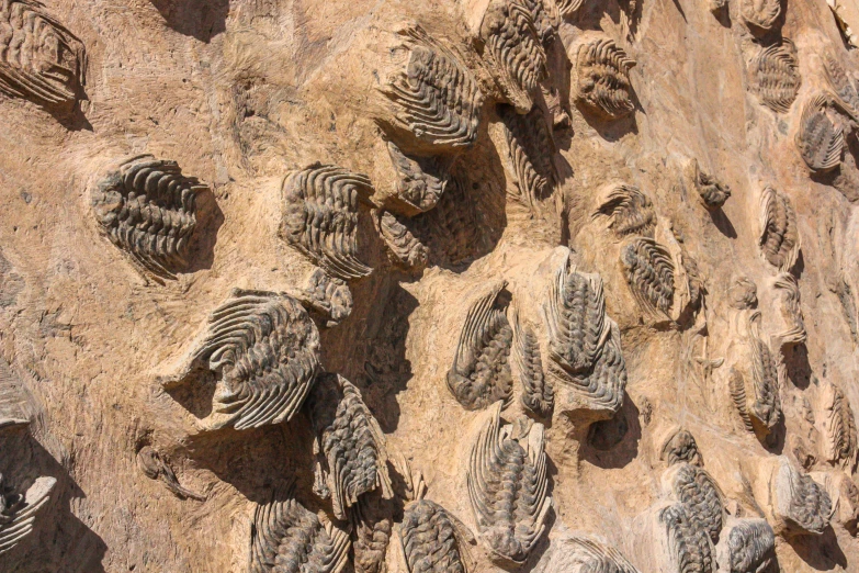 some strange looking rocks in the desert