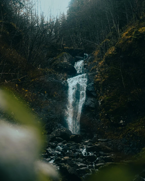 a small waterfall near a forest filled with trees