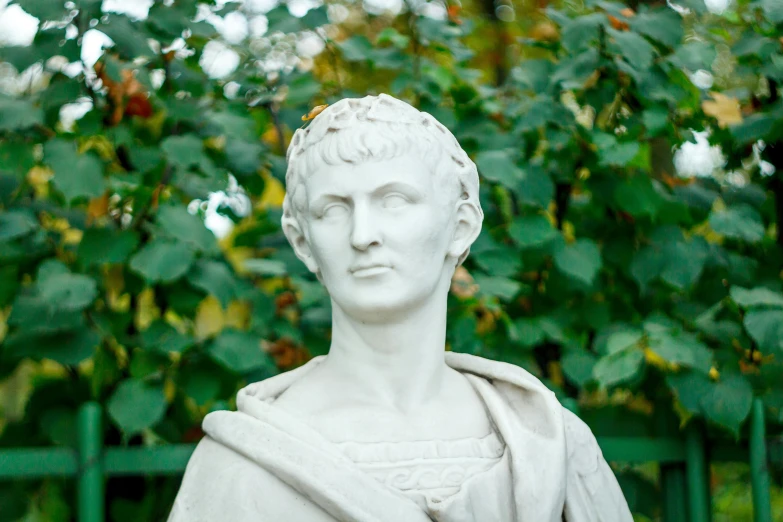 a marble busturine of a man sitting in front of a green bush