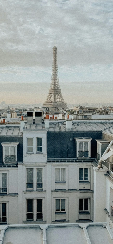 the view of the eiffel tower from across the city