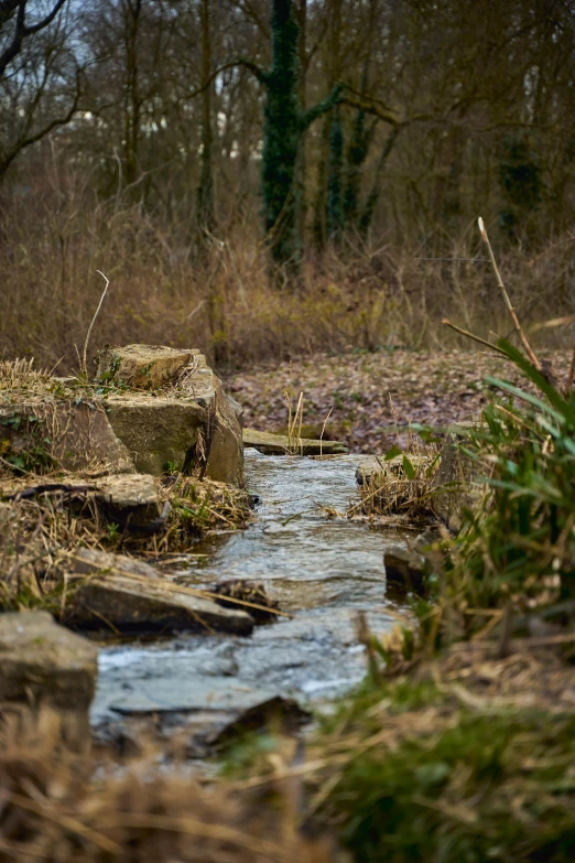 a stream with little water running under some rocks