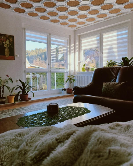 a room with two couches, some plants and a book