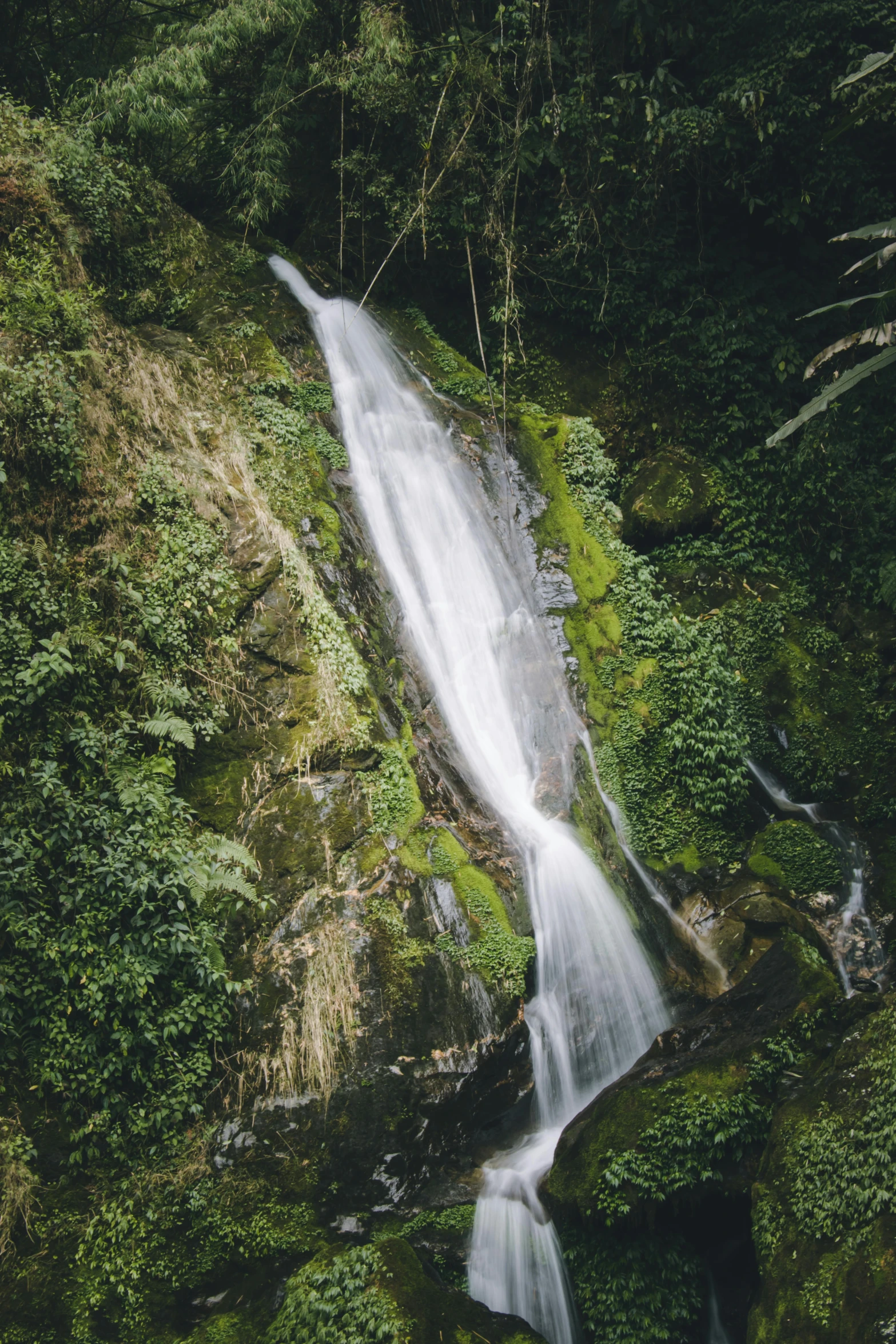 an aerial s of a waterfall surrounded by greenery