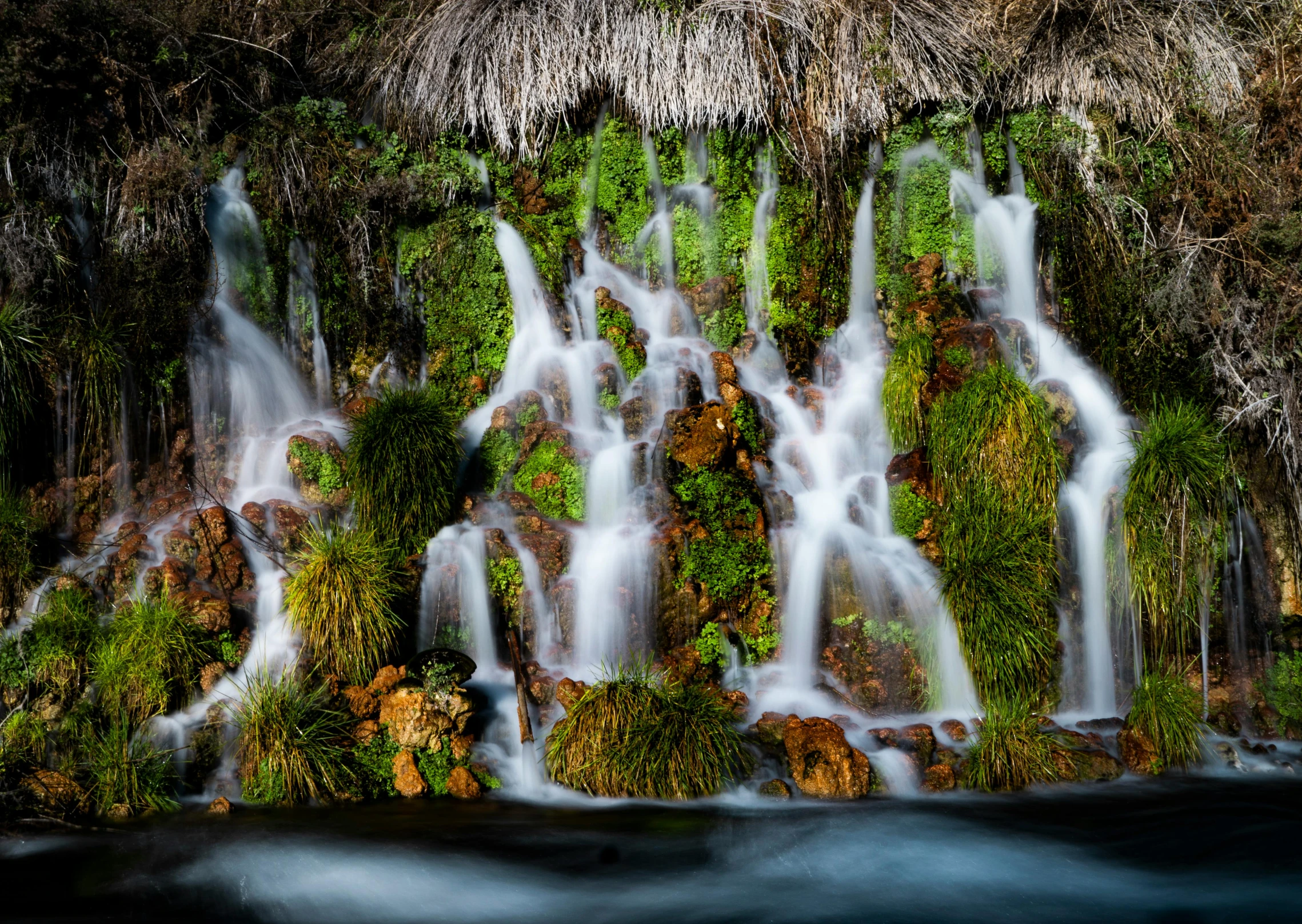 waterfall and vegetation by the water