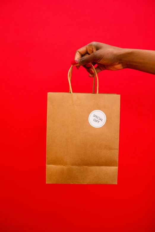 a hand holding a brown paper bag