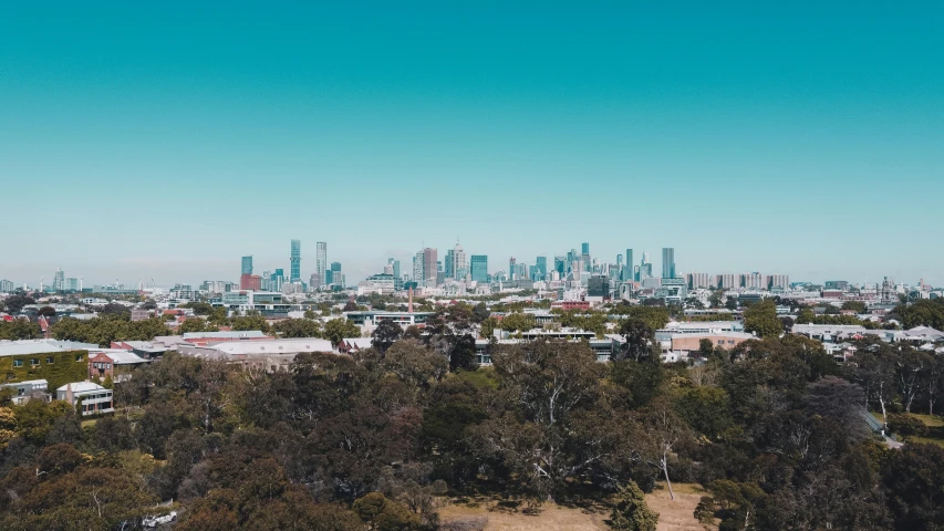 a view of the city from a hill in the middle of the woods