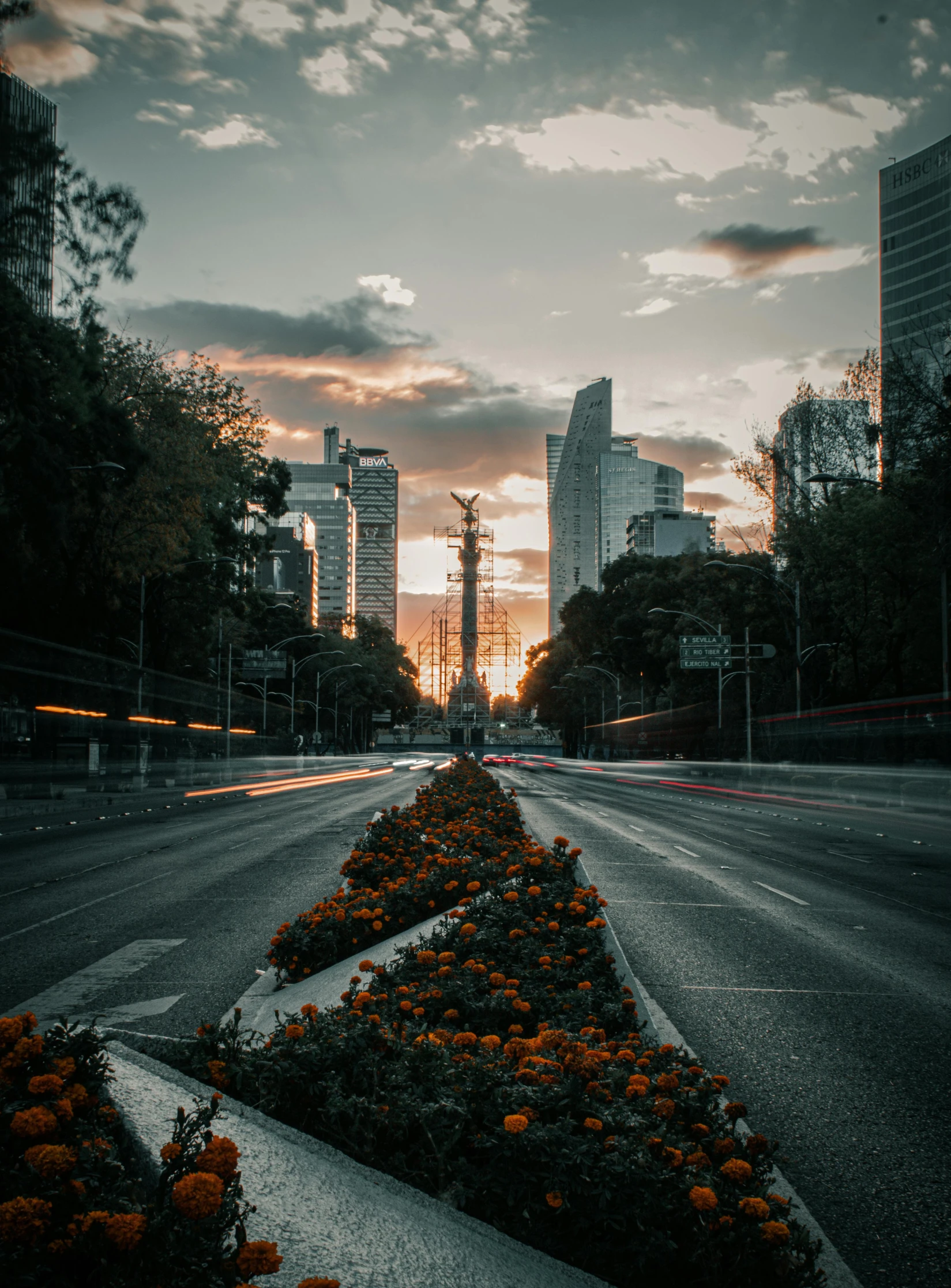 an open empty street with orange flowers in the ground