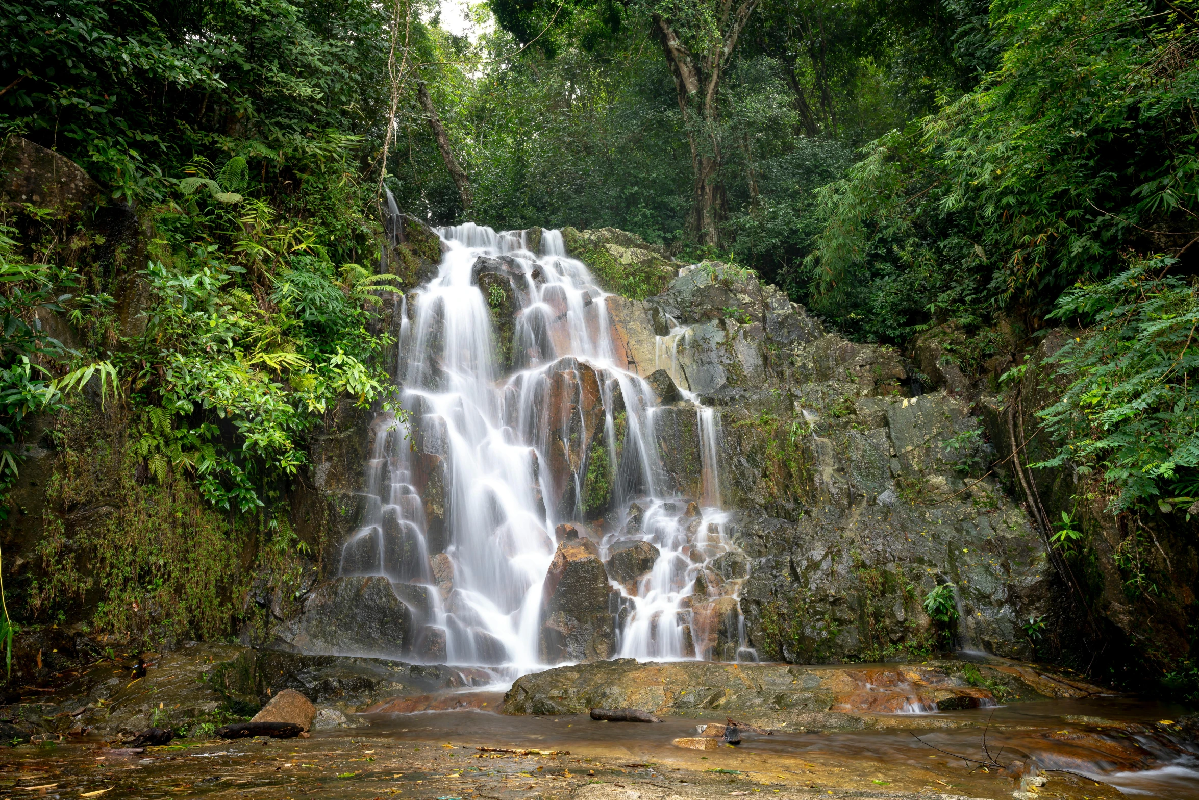 a water fall surrounded by lush green vegetation