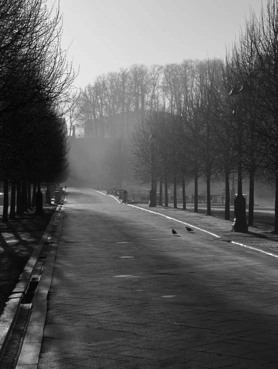 dark winter night with trees and street scene in foreground