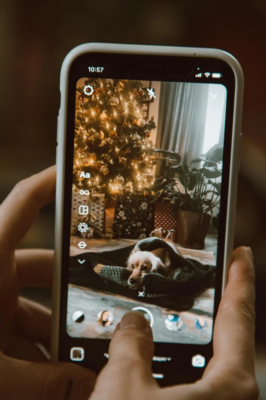 someone holding up a cell phone with a dog laying down