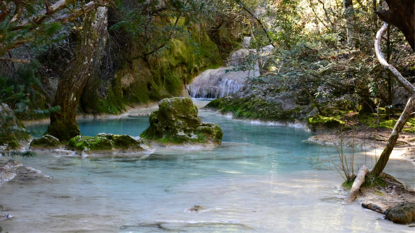 a large stream running through a green forest