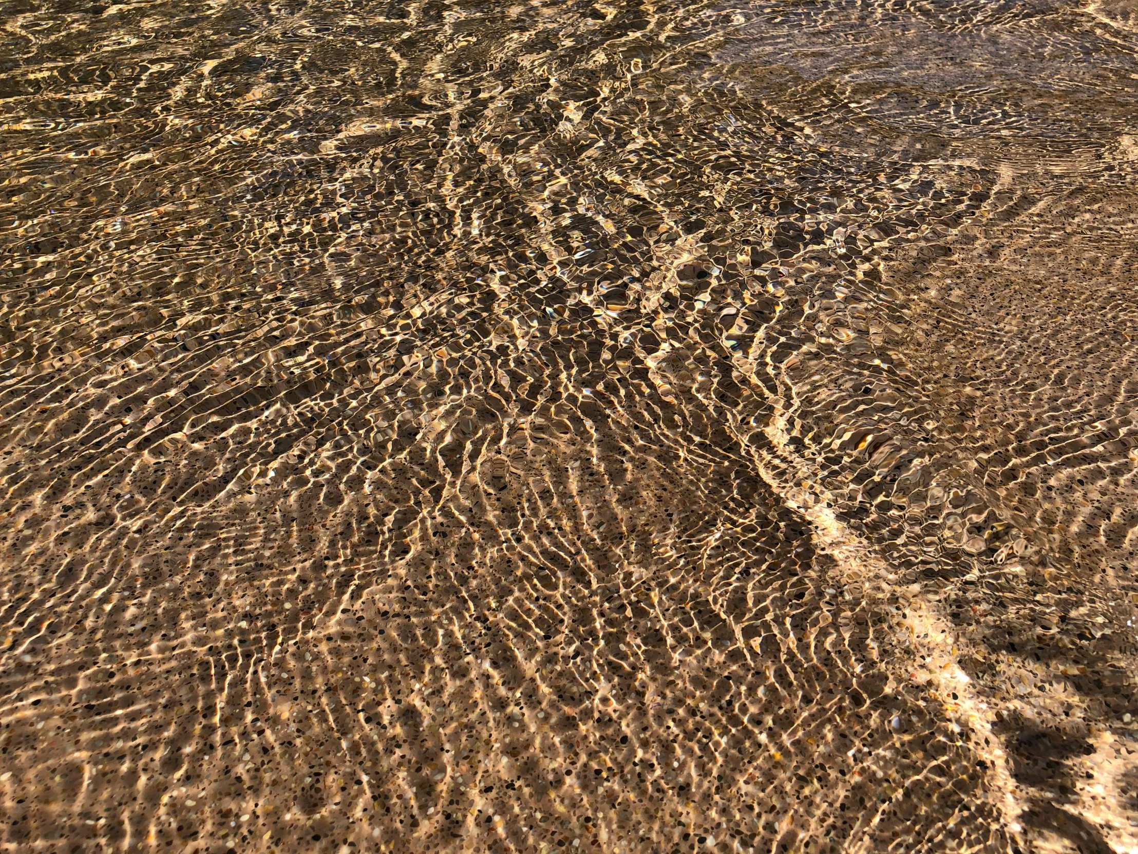 a sandy area with small patterns on it