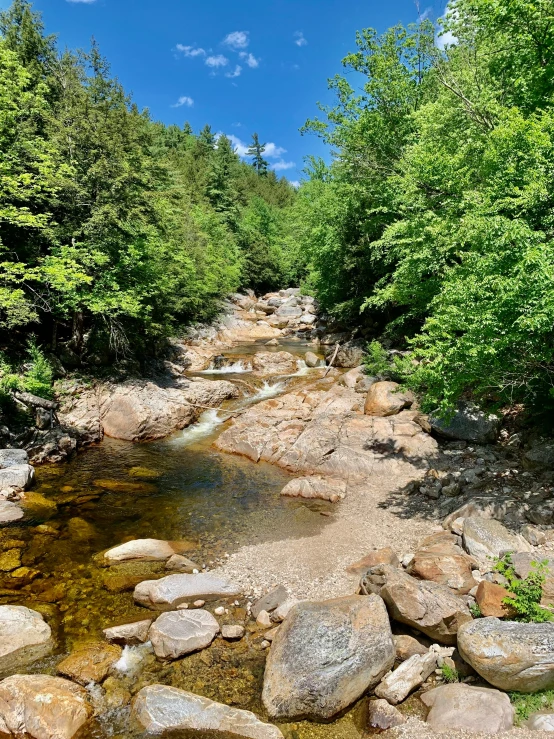 there is a mountain stream coming out of the middle of the woods