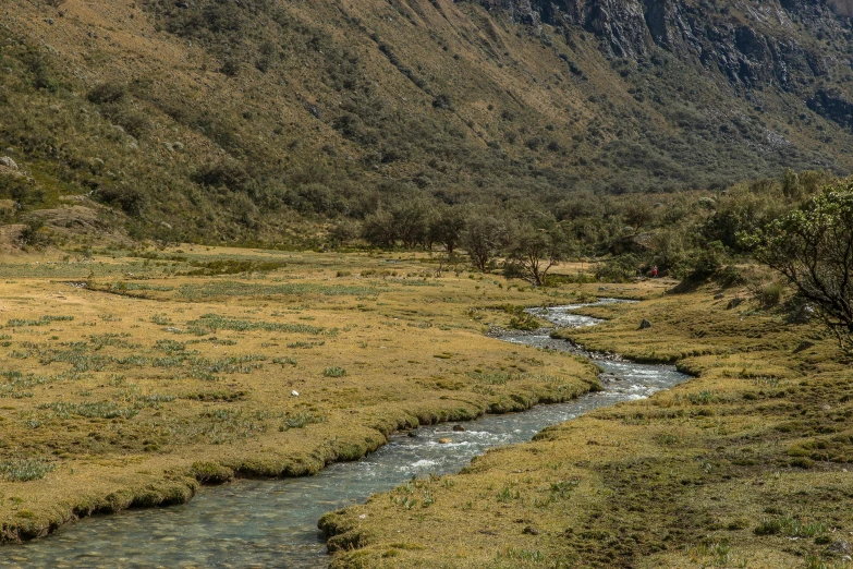 a small stream meanders through a green grassy field