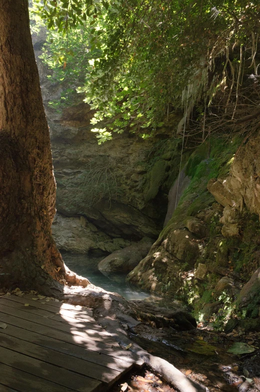 a wooden pathway leading to a creek with rocks and trees