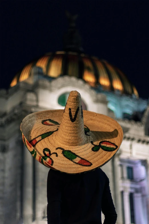 a man in a sombrero wearing a hat