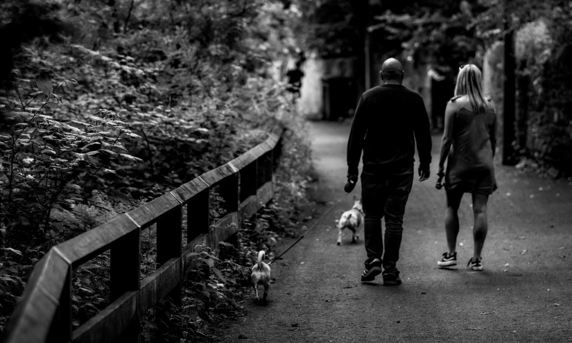 a man and woman walking along a pathway with a small dog