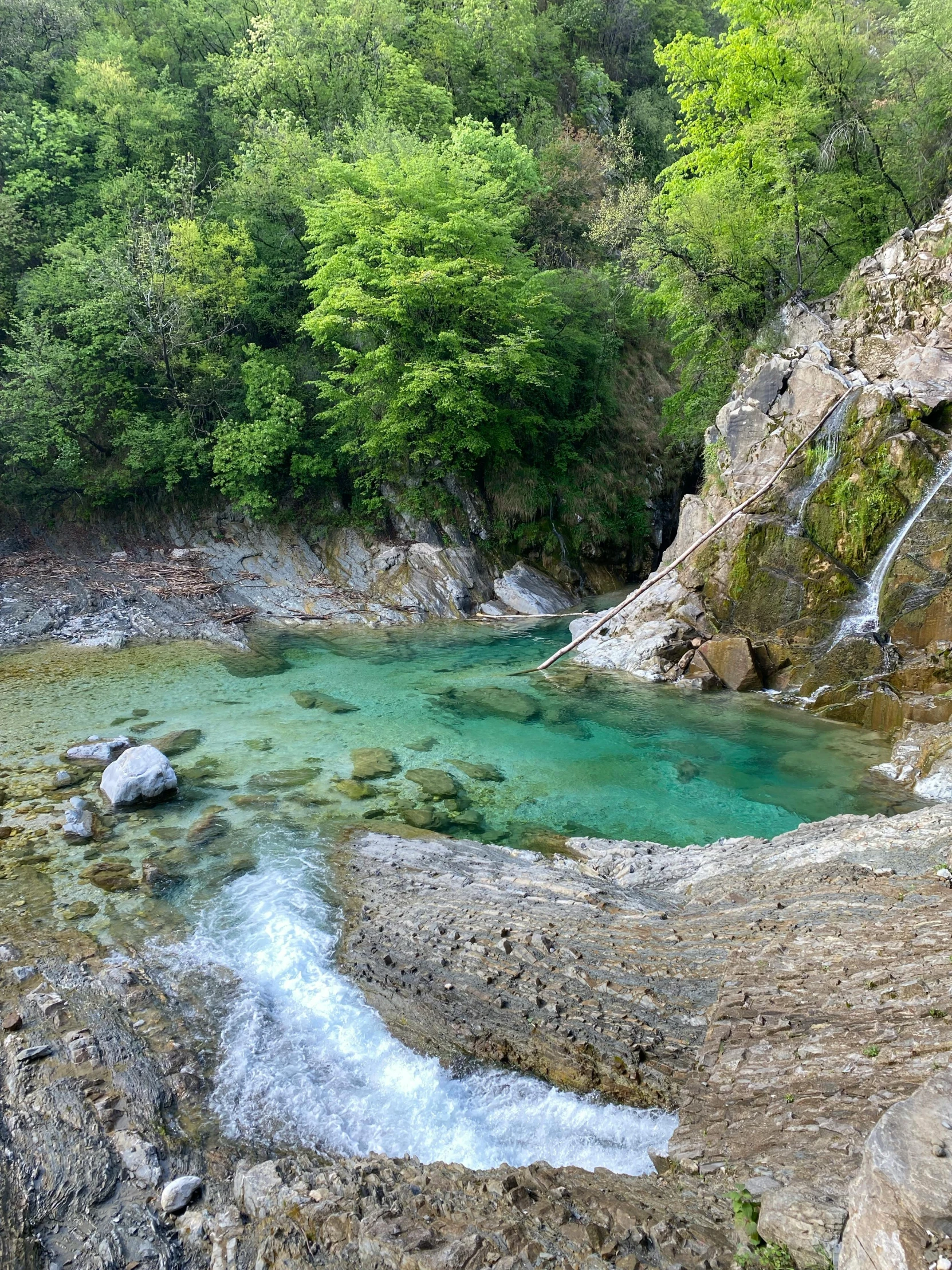 a pool surrounded by rocks in the middle of the woods