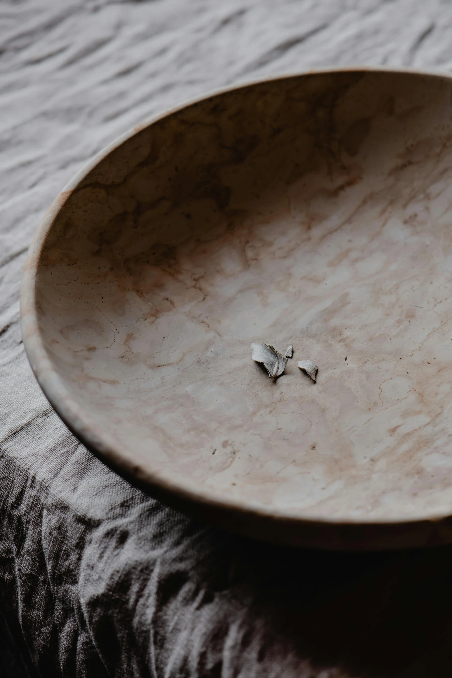 a large bowl with two small bugs sitting on it