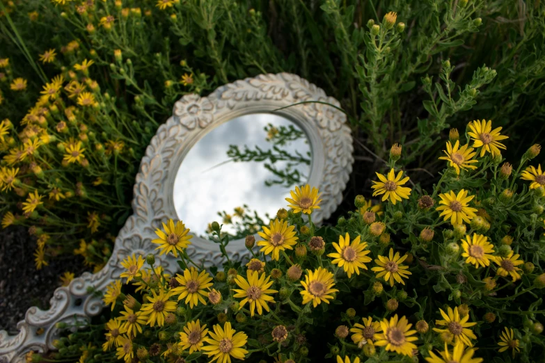 there is a decorative mirror between some flowers