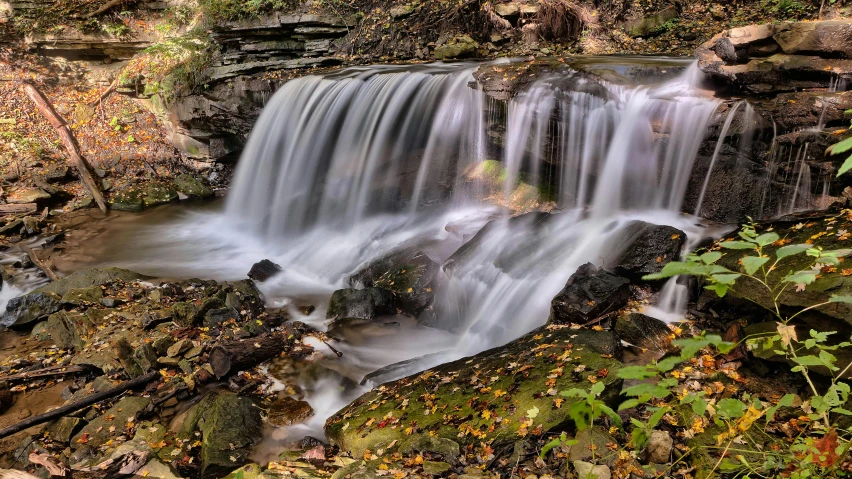 a small waterfall that is near some trees