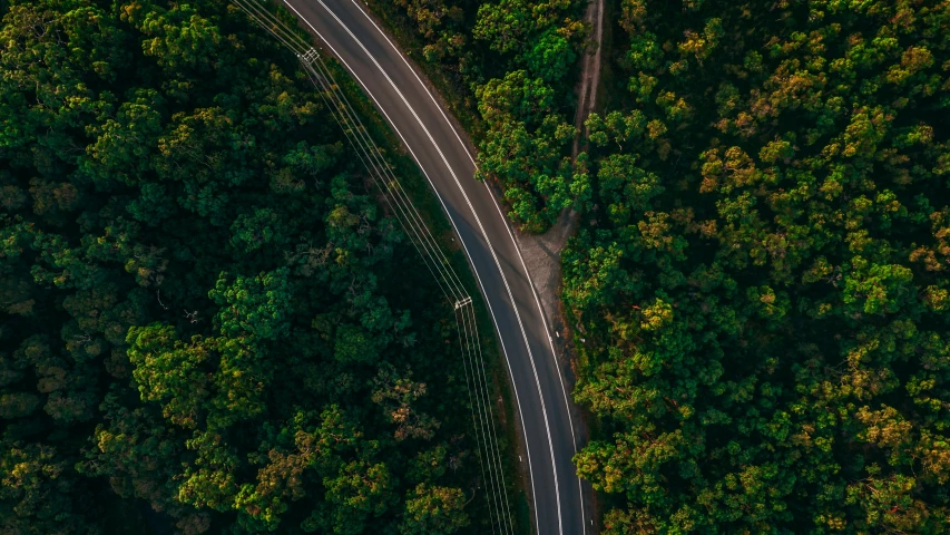 aerial view of an empty road surrounded by wooded area