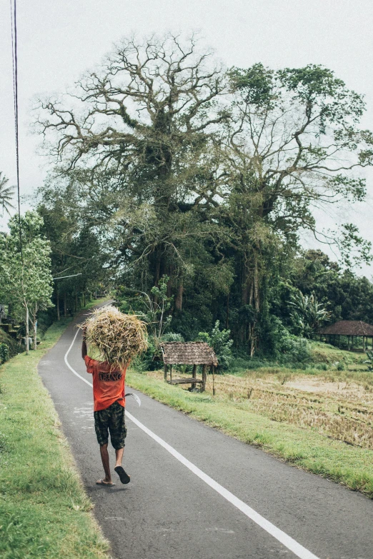 a man holding a large piece of hay walking down the side of a road