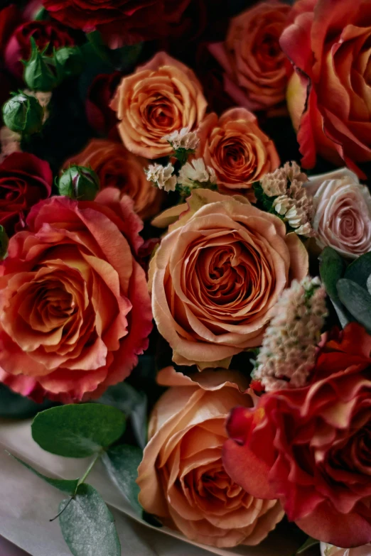 a bunch of flowers with long stems and some small leaves