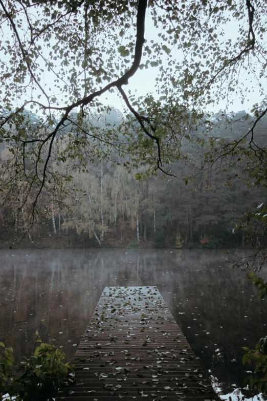 a bridge on the water under some trees