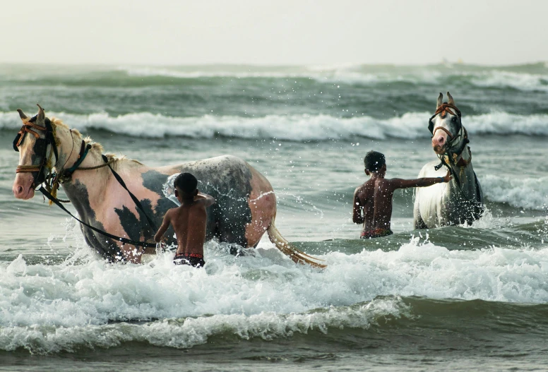 three men standing around horse on a beach