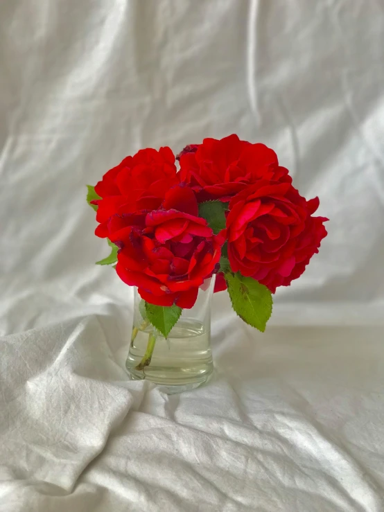 a red rose is in the vase on white fabric