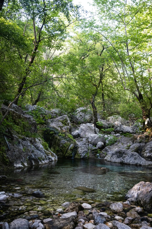 an image of a beautiful stream in the woods