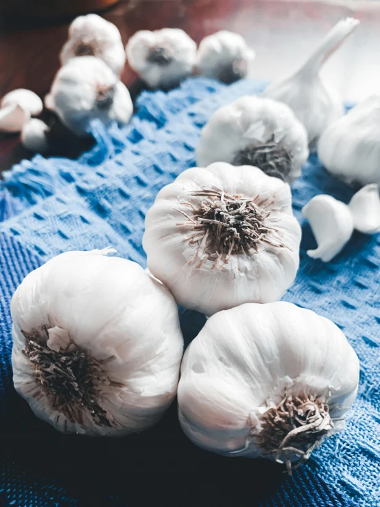 a blue towel has garlic sitting on it