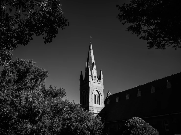 a cathedral with steeple surrounded by trees