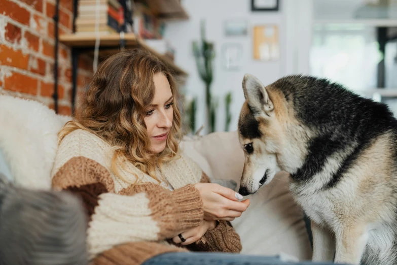 a dog with a girl on their lap looking at soing