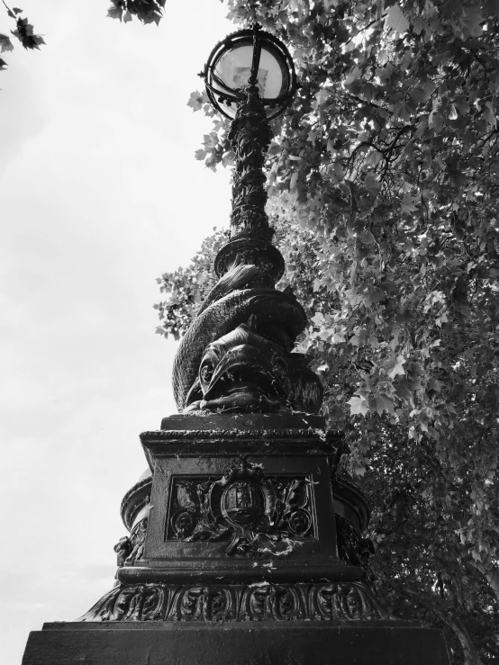 a street light sitting next to a tall tree